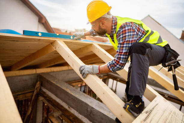 Best Roof Gutter Cleaning  in Steelville, MO
