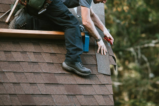 Best Roof Maintenance Services  in Steelville, MO